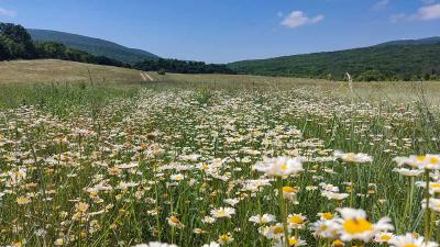 Прикрепленное изображение: IMG_20220613_104057.jpg